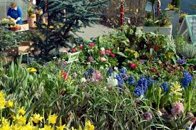 Die firma kann schriftlich über berlin erreicht werden. Die Besten Gartencenter In Berlin Alles Fur Eine Grunere Welt