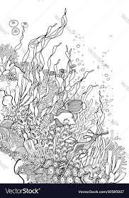 Black And White Sea Anemone Coral Reef Design Vector Image On Vectorstock Coral Reef Drawing Coral Reef Art Coral Drawing