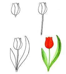 Weitere ideen zu blumen zeichnen, ausmalbilder, wenn du mal buch. Auf Diese Seite Konnen Sie Blumen Malen Lernen Es Ist Ganz Einfach Und Mit Hilfe Diese Schone Vorlagen Erkennen S Blumen Malen Blumen Zeichnen Blumenzeichnung