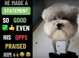 He Made A Statement So Good Even His Opps Fuh | TikTok