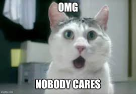 Omg Cat Meme Imgflip