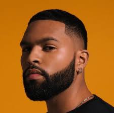 Unless you've been living under a rock, you know the beard gang lifestyle is serious. 5 Best Beard Styles For Black Men Blush