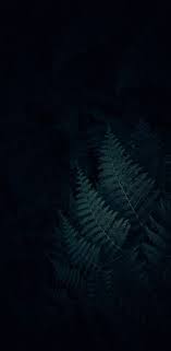 Beautiful Black And Teal Wallpaper 38 Trendy Plants Wallpaper Desktop Beautiful Flowers Plants Flowers Zelenye Fony Fonovye Risunki