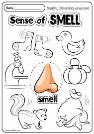 Pin On Worksheets Ideas For Kids