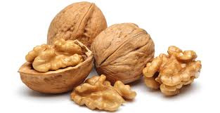 Resultado de imagem para noz