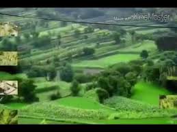 فرقا الأحبه أيوب طارش Youtube