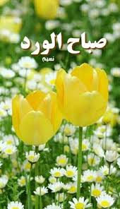 صباح مشرق يحمل معه نسمات عطرة ليوم جميل بإذن الله اللهم ارزقنا سعة الصدر والانشراح و latest good morning images good morning images morning images
