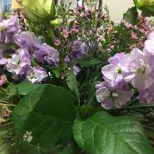 Coleman brothers flowers manakin sabot va. Coleman Bros Flowers Florists 38 Broad St Rd Manakin Sabot Va Phone Number Yelp