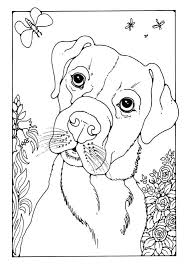 Http Www Dandi Me Uk Hi Res Images Pics Dogs Moth Jpg Dog Pictures To Color Dog Coloring Page Horse Coloring Pages