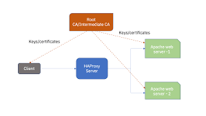 Building a quantum-safe web application based on a quantum-safe version of  OpenSSL - IBM Developer