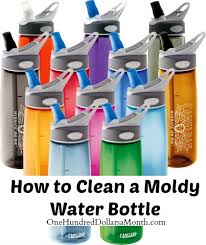 Air out the inner portions of a furniture frame if you suspect mold has crept past the upholstery. How To Clean A Moldy Water Bottle One Hundred Dollars A Month