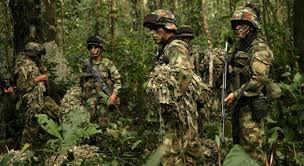 Pin En Las Noticias De Semana Compartir Con Don Hidroponico En Pinterest Pinear Google