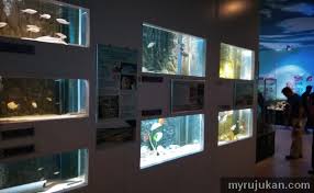 Penang aquarium batu maung yakınlarındaki oteller: Pusat Aquarium Batu Maung Myrujukan