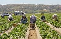 California is an Agricultural Powerhouse - My Job Depends on Ag ...