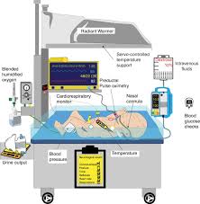 Image result for Neonatal Circulation Assessment