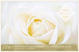 Adding white flowers to your home is the perfect way to keep the space light. Rose Color Meanings Ftd Com