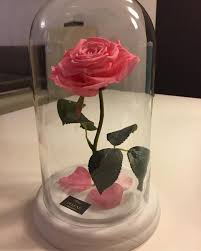 Die Schone Und Das Biest Rose Infinity Rose Fleurdeluxe Germany Dieschoneunddasbiest R In 2020 Geschenkideen Hochzeitsgeschenk Die Schone Und Das Biest