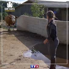 Des choses se sont passées, à commencer par l'élimination choc de candice dans l'épisode 4 suite à un jeu de dupes orchestré par laure et. Denis Brogniart Elle S Appelle Laure Laure Kohlanta