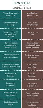 Check spelling or type a new query. List The Differences And An Animal Cell Between A Plant