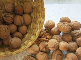 Single küche mit e herd geschirrspüler spüle und dunstabzugshaube selbstabholer tel 0163. Single Kuchen Rezept Mehlspeisenrezepte