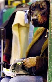 Funny Optical Illusions 30 Pics Funny Illusions Funny Optical Illusions Optical Illusions