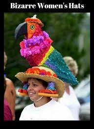 Bizarre Women S Hats Funky Hats Crazy Hats Funny Hats