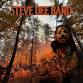 Steve Dee Band