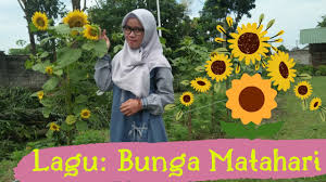 Bunga matahari selain enak dimakan sebagai camilan sehat juga memiliki prospek bisnis yang baik. Lagu Bunga Matahari Youtube