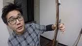 When a mongolian nomadic family's newest camel colt is rejected by its mother, a musician is needed for a ritual to change her mind. The Story Of The Weeping Camel Dovchin Khuur N Norovbanzad Youtube