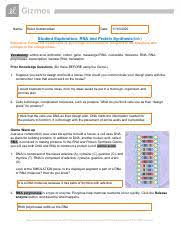 Student exploration rna and protein synthesis gizmo answers quizlet / student exploration rna and protein synthesis gizmo answer. Rohit Subramanian Student Leesvillerdhs Dr Eagle Unit 7 Cornerstone B Protein Synthesis Gizm Name Rohit Subramanian Date Student Exploration Course Hero