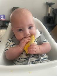 What are good pediatricians in Gainesville with premie experience?