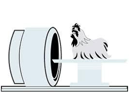 Here's a list of 24 hour clinics in singapore. 24 Hour Vet In Singapore Advanced Vetcare Veterinary Centre