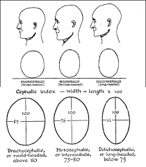 Field Basics In Craniometry