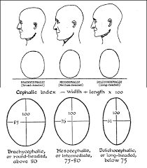 field basics in craniometry