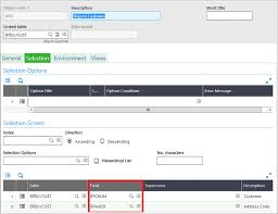 How To Add Dimensional Field In Object Selection Sage Enterprise Management The Selection Business Intelligence Field