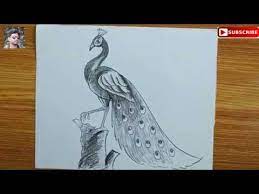 How To Draw A Peacock Step By Step Easy Peacock Drawing For Kids How To Draw A Peacock By Pencil Youtube Pencil drawings bring out the beautiful canvas from black and white only whereas when it comes to color pencil drawings, it's beyond realistic art. how to draw a peacock step by step easy peacock drawing for kids how to draw a peacock by pencil