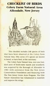 Celery Farm and Beyond: Ready for a 2023 Celery Farm Big Year?