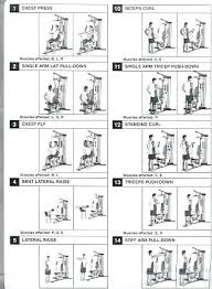 23 Disclosed York Home Gym Exercise Chart