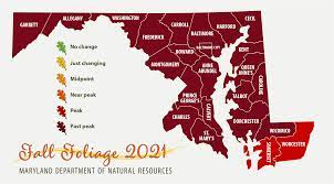 Christmas Things To Do In Maryland Nov 24, 2021 S Vi Detpttaum