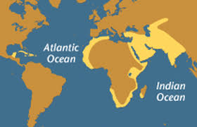 Portuguese Man Of War Man Of War War Portuguese