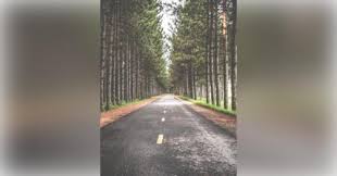 Search Earl Marks Obituaries and Funeral Services