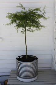Loader operator is responsible for the overall operation of… Pin On Gardening