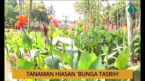 Walkthrough, experience and immerse yourself in taman botani's beautiful garden. Taman Botani Putrajaya Home Facebook