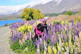 Untuk ke maldives memang merupakan impian aku yang bakal jadi kenyataan. 40 Tip Bagaimana Saya Travel Sendiri Dengan Keluarga Di New Zealand