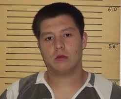 Two arrested after assault in Early