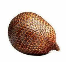 Durian clipart durian clipart free transparent png clipart images download. Muhamad Arif Arifgordonblue Profil Pinterest