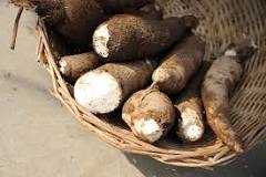 Does cassava spike blood sugar?