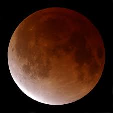 #皆既月食 #月 #moon #fuullmoon #満月 #aerospace #宇宙 #photographers on tumblr #α57. å§«è·¯ç§'å­¦é¤¨ æœˆé£Ÿã‚'è¦‹ã‚ˆã†