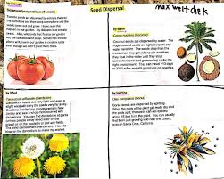 Biology Botany General Biology Biology Seed Dispersal