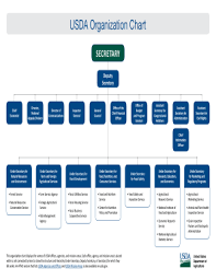 12 Printable Organizational Chart Of A Company Forms And